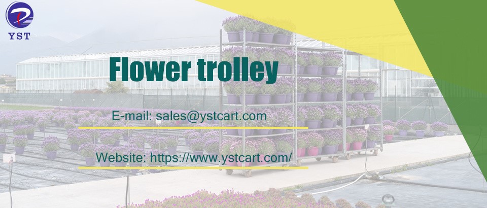 The Multi-Purpose Role-1 The Multi-Purpose Role-1