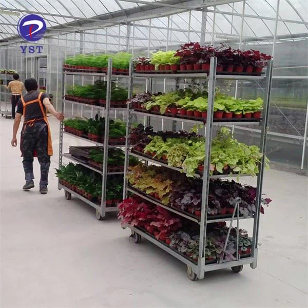 Outdoor Plant Nursery Trolley