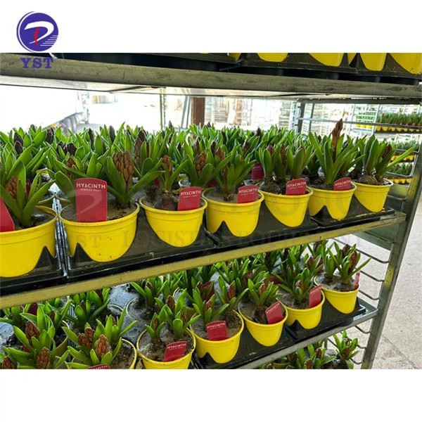 Plant Transport Nursery Rack Trolley