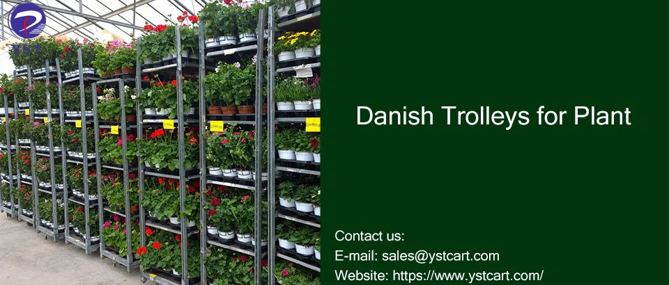 Danish Trolleys for Plant-8 Danish Trolleys for Plant-8
