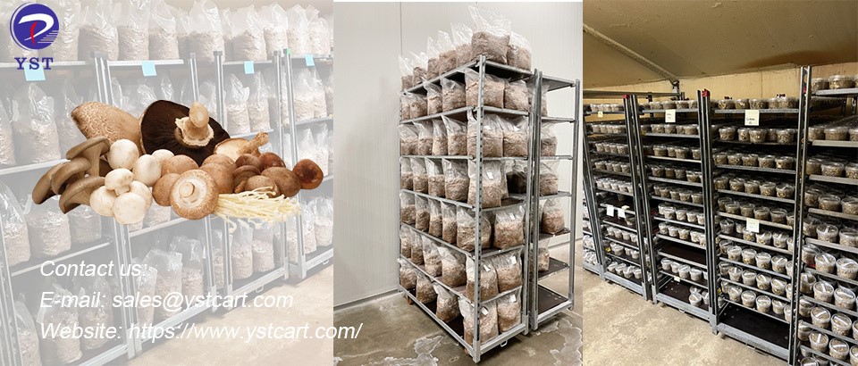 Danish trolley-3 Danish trolley-3