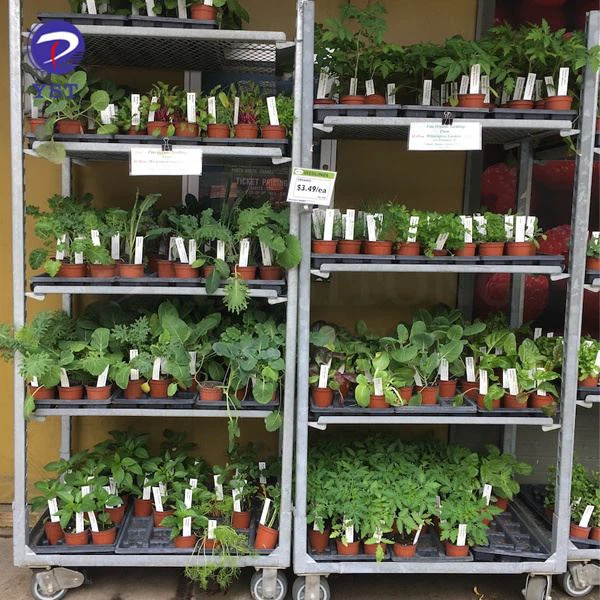 Half Danish Plant Container Trolley