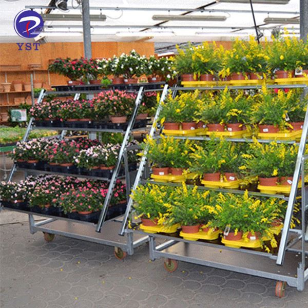 Nursery Plant Display Racks
