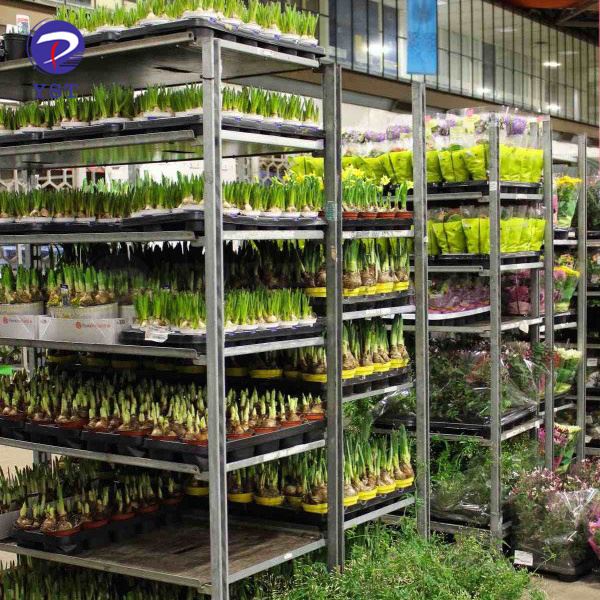 Plant Nursery Trolley