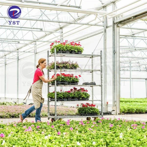 Greenhouse Carts Shelves