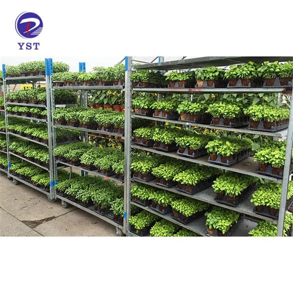 Taimede transpordikärud