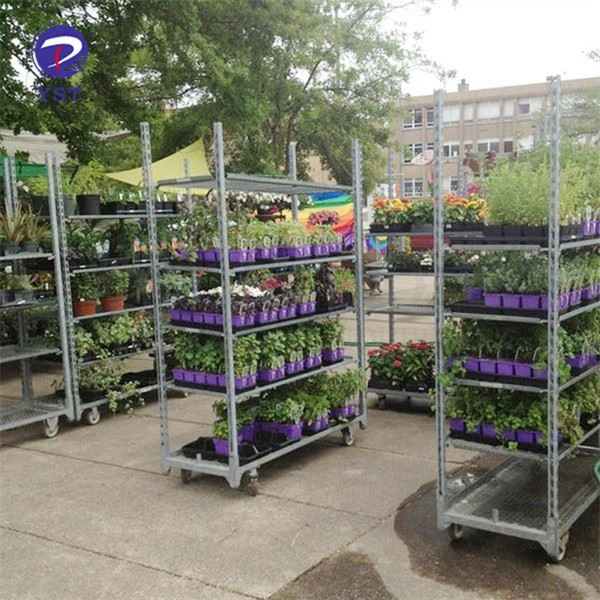 Nursery Rack Greenhouse