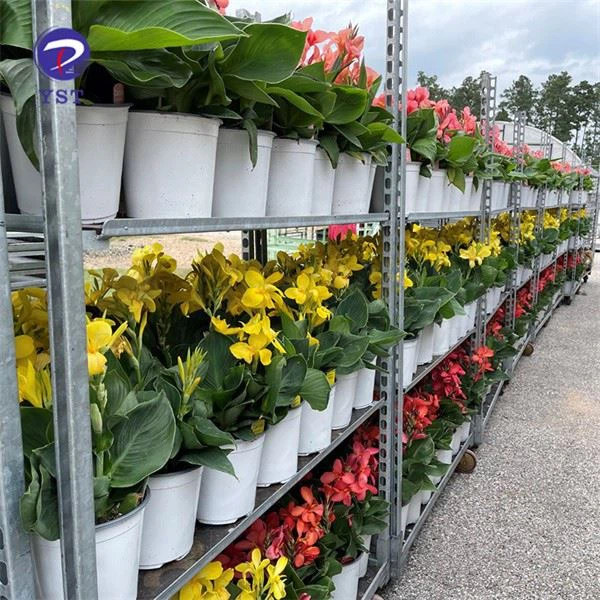 Plant Cart For Nursery Use