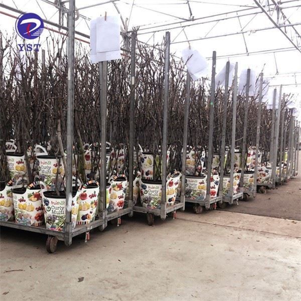 Plant Nursery Rack Trolley